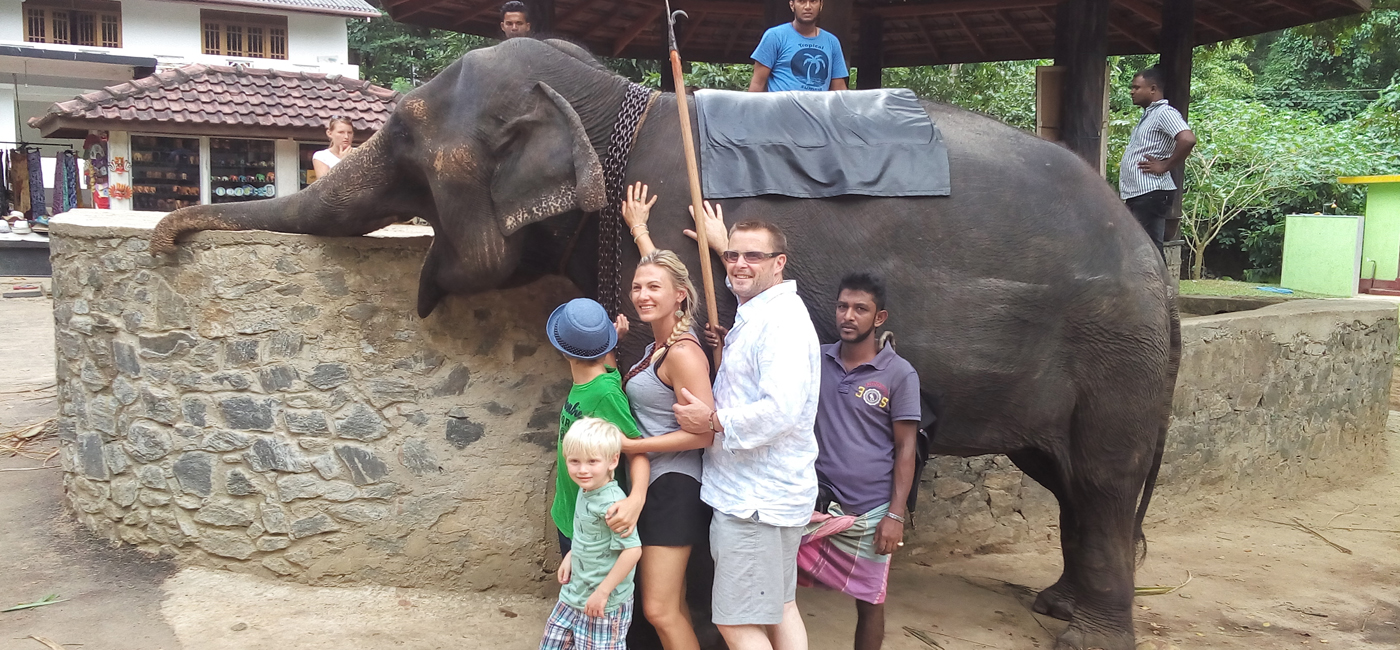 Pinnawela elephant orphanage